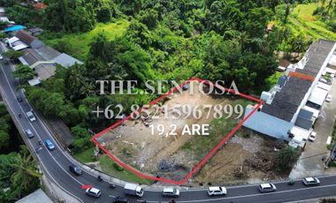 TANAH DARMASABA UBUD JALAN UTAMA LOS SUNGAI VIEW SAWAH DAN JUNGLE