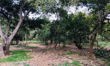 Venta de 1.000 m2, terreno plano Guayllabamba. Para casa de campo