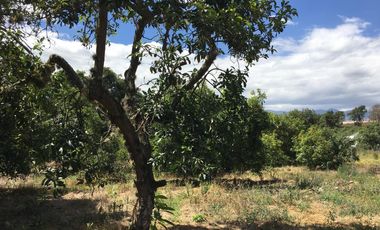 Venta de 1.000 m2, terreno plano Guayllabamba. Para casa de campo