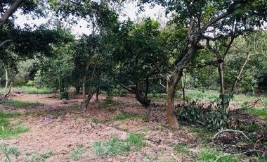 Venta de 1.000 m2, terreno plano Guayllabamba. Para casa de campo
