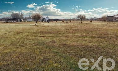 Sitio en Venta en Vende terreno 5000m2 L7 Marchigue