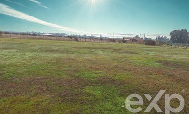 Sitio en Venta en Vende terreno 5000m2 L7 Marchigue