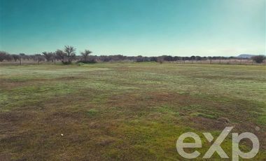 Sitio en Venta en Vende terreno 5000m2 L7 Marchigue