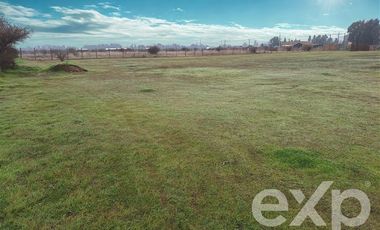 Parcela en Venta en Vende terreno 5000m2 L7 Marchigue