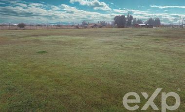 Terreno Construccion en Venta en Vende terreno 5000m2 L7 Marchigue