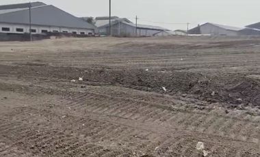 Ngoro tanah industri sudah uruk padat