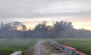 TANAH SAWAH 258M2 DKT JL PARANGTRITIS COCOK UTK KAVLING/HUNIAN.JK13454