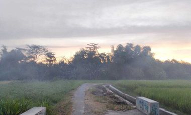 TANAH SAWAH 258M2 DKT JL PARANGTRITIS COCOK UTK KAVLING/HUNIAN.JK13454