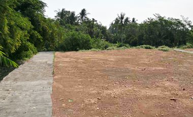 Dekat WISATA Candi BOROBUDUR, MURAH Tanah Purworejo
