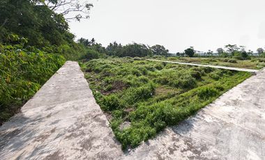 Dekat WISATA Candi BOROBUDUR, MURAH Tanah Purworejo