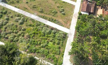 Dekat WISATA Candi BOROBUDUR, MURAH Tanah Purworejo
