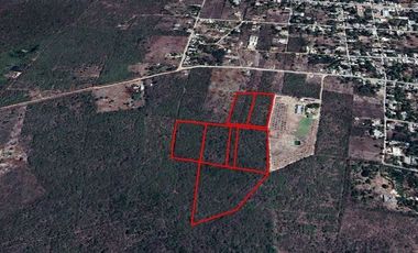 Terreno en venta de 5,000 m² en Yaxkukul, Yucatán.