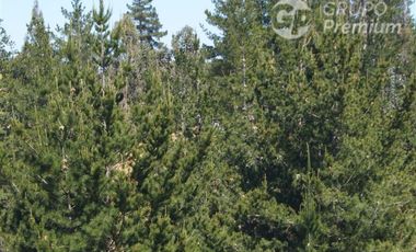 Parcela en Venta en Hacienda Bucalemu, Paredones