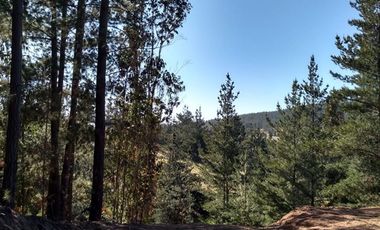 Parcela en Venta en Hacienda Bucalemu, Paredones