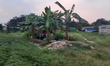 TANAH LUAS POSISI STRATEGIS DI CILEGON