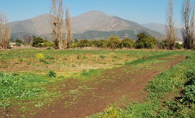 Vende hermosa parcela Plana, lugar protegido. Agua abundante