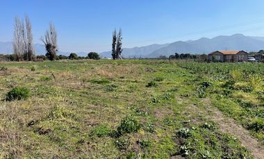 Vende hermosa parcela Plana, lugar protegido. Agua abundante