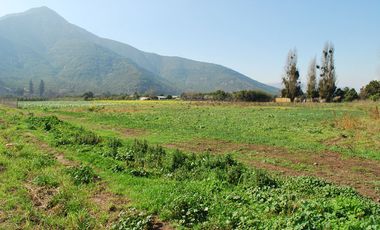 Vende hermosa parcela Plana, lugar protegido. Agua abundante