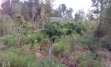 VENTA TERRENO - SITIO 5000MTS LOS LAGOS