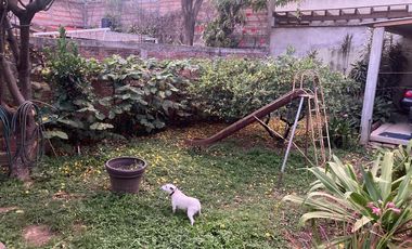 CASA EN LA CALLE ALCALA  - (3)