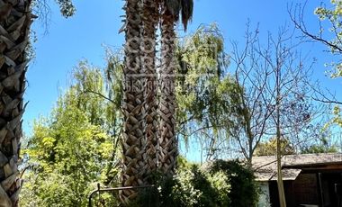 Parcela con casa en Tabolango