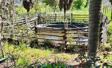 Parcela con casa en Tabolango