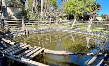 Parcela con casa en Tabolango