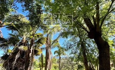 Parcela con casa en Tabolango