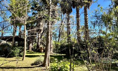 Parcela con casa en Tabolango