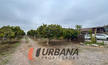 PARCELA SECTOR ALFALFARES ORIENTE, LA SERENA