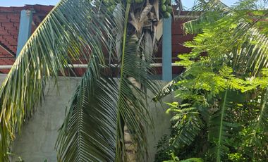 TERRENO EN RENTA P/PATIO MANIOBRAS. CARMEN  CAMPECHE