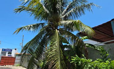 TERRENO EN RENTA P/PATIO MANIOBRAS. CARMEN  CAMPECHE