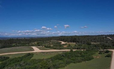 Parcela en venta en NAVIDAD