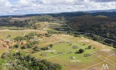 Parcela en venta en NAVIDAD