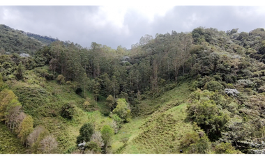 Se Vende Finca Turismo Ecologico Cordoba Quindio 9397225