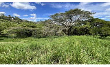 VENTA DE FINCA GANADERA EN OBANDO, VALLE, COLOMBIA
