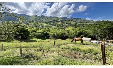 VENTA DE FINCA GANADERA EN OBANDO, VALLE, COLOMBIA