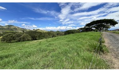 VENTA DE FINCA GANADERA EN OBANDO, VALLE, COLOMBIA