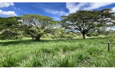 VENTA DE FINCA GANADERA EN OBANDO, VALLE, COLOMBIA