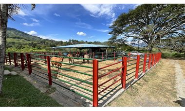VENTA DE FINCA GANADERA EN OBANDO, VALLE, COLOMBIA