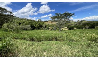VENTA DE FINCA GANADERA EN OBANDO, VALLE, COLOMBIA