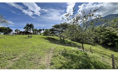 VENTA DE FINCA GANADERA EN OBANDO, VALLE, COLOMBIA