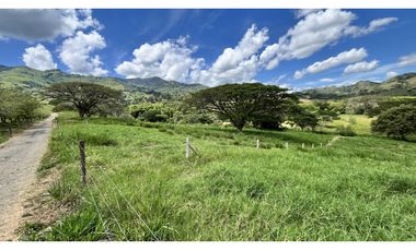 VENTA DE FINCA GANADERA EN OBANDO, VALLE, COLOMBIA