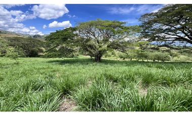 VENTA DE FINCA GANADERA EN OBANDO, VALLE, COLOMBIA