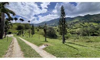 VENTA DE FINCA GANADERA EN OBANDO, VALLE, COLOMBIA