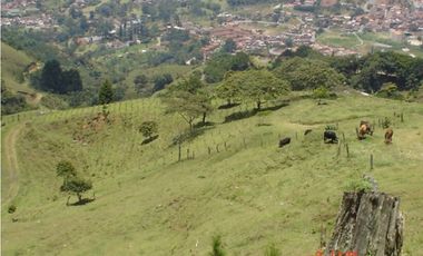 FINCA EN VENTA, SAN ANTONIO DE PRADO VEREDA LA VERDE