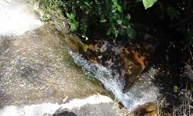 FINCA EN VENTA, SAN ANTONIO DE PRADO VEREDA LA VERDE