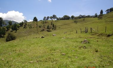 FINCA EN VENTA, SAN ANTONIO DE PRADO VEREDA LA VERDE