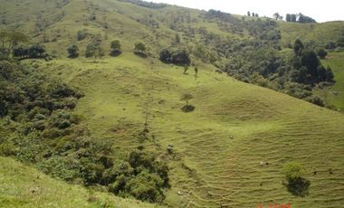 FINCA EN VENTA, SAN ANTONIO DE PRADO VEREDA LA VERDE