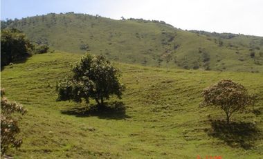 FINCA EN VENTA, SAN ANTONIO DE PRADO VEREDA LA VERDE